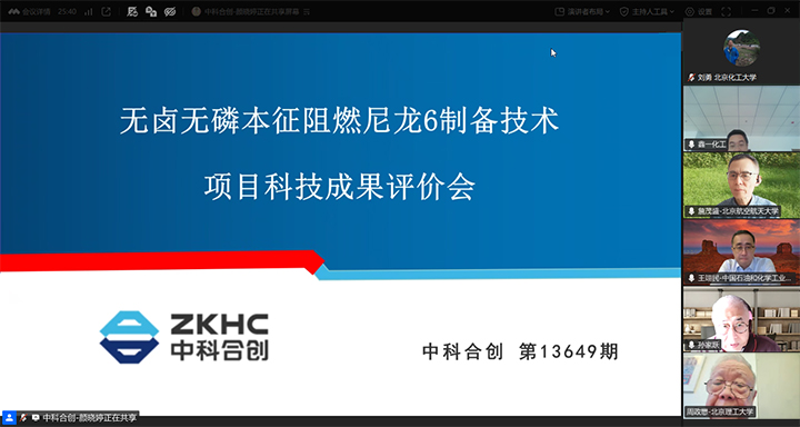 无卤无磷本征阻燃尼龙6制备技术 xiao.jpg